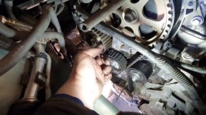 Ford Focus C Max замена ремня ГРМ.