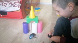 Oбзор игрушек. для мальчиков. Муха на пульте управления. Насекомое робот