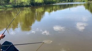 Поимка Карпа Основной водоем