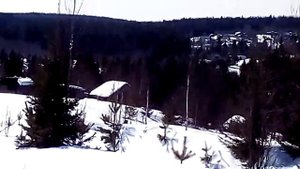 Охота Усть Харюзово. Живой олень).