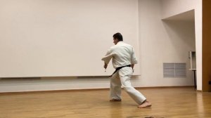 Кёкусинкай / Зимняя Школа ФКР-2022 / Авторское ката на 3 дан / Тимур Троянок