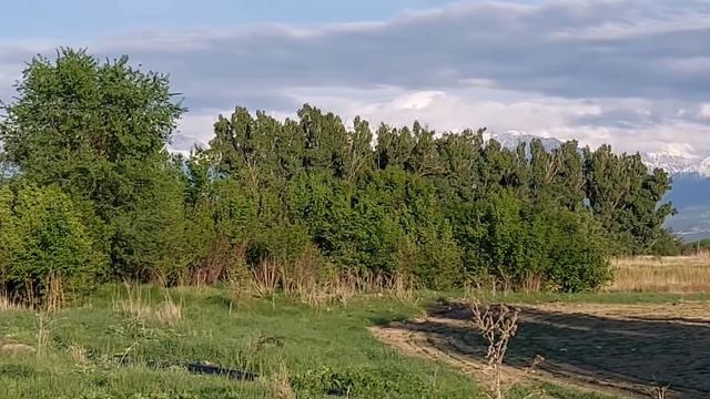 горы и облака, красота