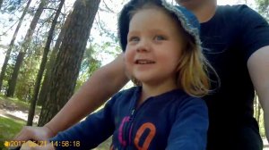 Поездка за мульчей.  Спасение помидор.