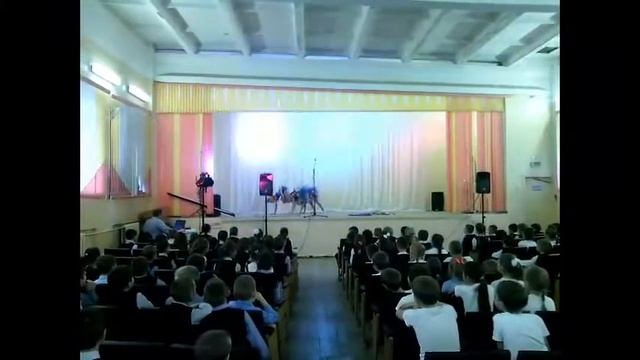 Танцевальная группа. Студия "Соловей" Гимназия №6 г. Ижевск смотреть онлайн