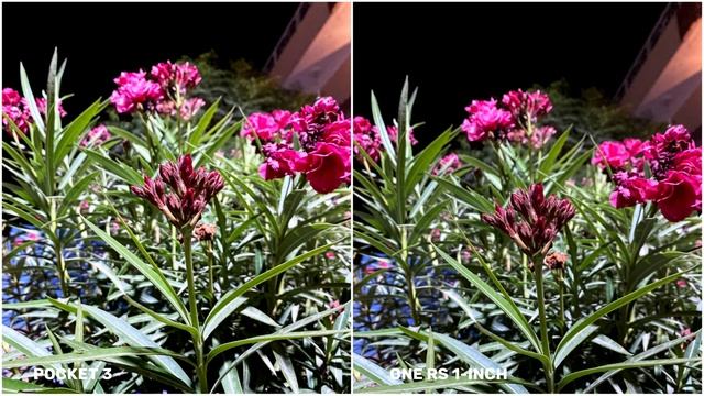 DJI Pocket 3 VS Insta360 ONE RS 1-INCH 360 Edition | Night Mode Camera Test смотреть онлайн