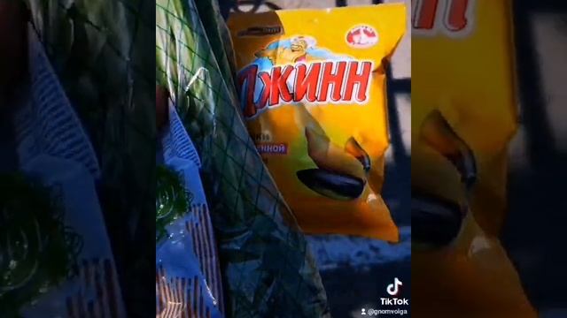 Андрей как Кролик ест сельдерей смотреть онлайн