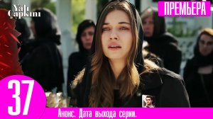 Зимородок 37 серия на русском языке (2 сезон 1 серия) | Кома!