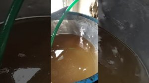 ПРИГОТОВЛЕНИЕ СИРОПА ДЛЯ ПОДКОРМКИ ПЧЁЛ