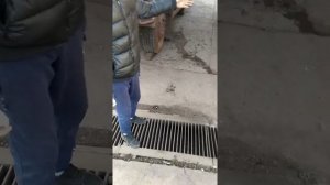 Работа водителем на заводе #работа #водитель