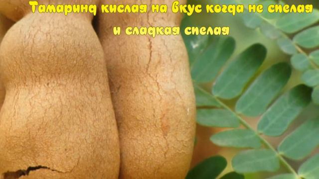 Необычные Фрукты в Существование Которых Сложно Поверить! Стоит Увидеть!