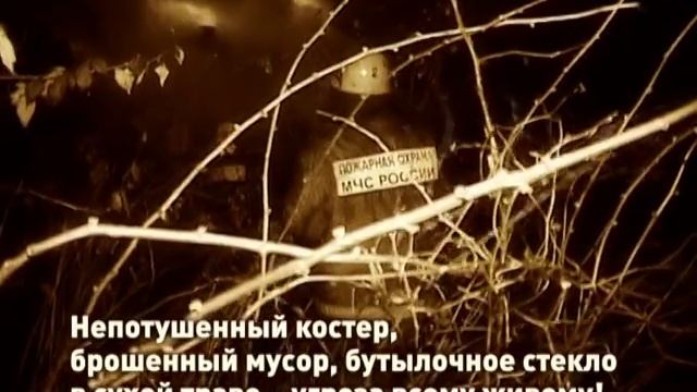 Берегите лес от пожара. МЧС смотреть онлайн