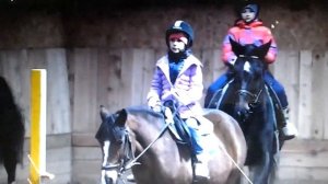 Конный клуб 《Сосновый Бор》(((Я)))