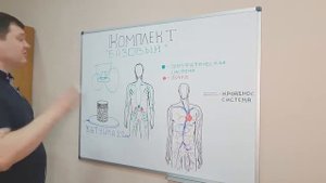 Всё что нужно знать о катушках Мишина