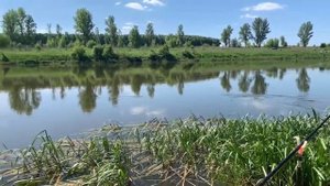 ЛОВЛЯ КАРАСЯ!!!Советы начинающим рыбакам. Рыбалка на дону. Секреты рыбалки выпуск №1