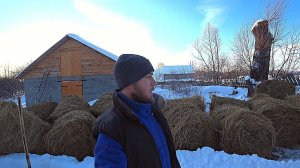 ПРИЕХАЛ КАМАЗ ЕДЫ И ЗАВАЛИЛ ВЕСЬ ДВОР. СДЕЛАЛ СЕБЕ ПОДАРОК. ЖИЗНЬ В ДЕРЕВНЕ. МОЛОДАЯ ФЕРМА