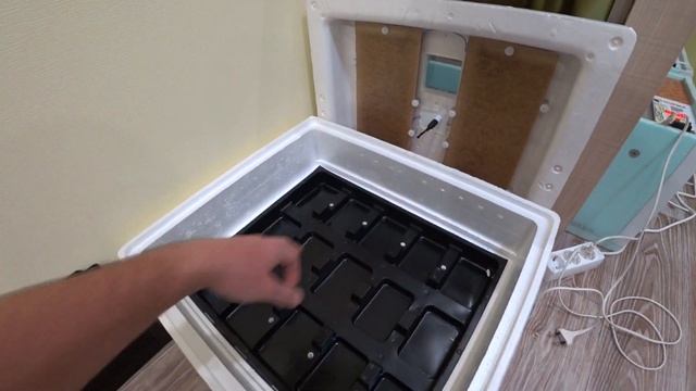 ИНКУБАЦИЯ ГУСИНЫХ ЯИЦ В ИДЕАЛЬНОЙ НАСЕДКЕ.  ОЧЕНЬ ПЛОХОЙ РЕЗУЛЬТАТ