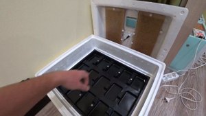 ИНКУБАЦИЯ ГУСИНЫХ ЯИЦ В ИДЕАЛЬНОЙ НАСЕДКЕ.  ОЧЕНЬ ПЛОХОЙ РЕЗУЛЬТАТ