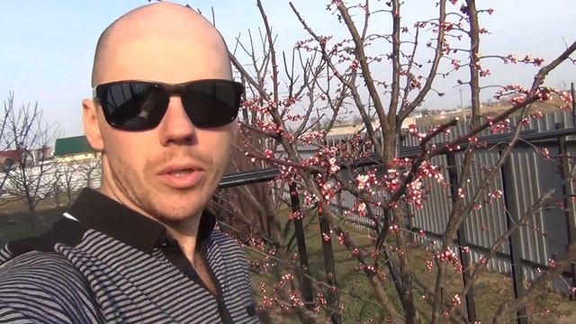 Новый ДОМ в саду Обзор САДА Вылетели ПЧЕЛЫ и ОСМИИ Зацвели АБРИКОСЫ смотреть онлайн
