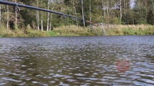 В сентябре октябре это тесто показывает потрясающие результаты по карасю! Осеннее тесто для карася!