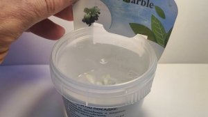 Живое аквариумное растение Анубиас Нано Марбл меристемное