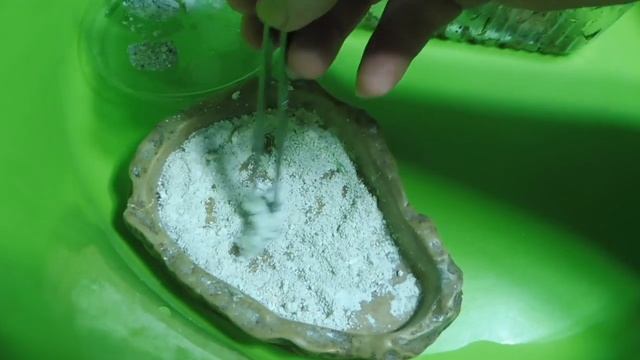 Щенки породы ЧИХУАХУА / Пух НОРКИ для одежды собакам / Манго НОВЫЙ питомец / питомник Мари Мистик