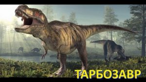 Изучаем виды хищных динозавров