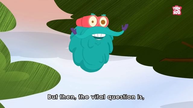 Why Are Some Of Us Left Handed? | Left Handedness | The Dr Binocs Show | Peekaboo Kidz смотреть онлайн