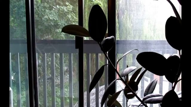 Сон за 10 минут.ТЫ ТОЧНО УСНЁШЬ.Звуки дождя смотреть онлайн