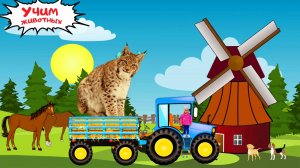 По полям едет трактор к нам - Изучаем лесных животных - Учим лесных животных с Синим Трактором.