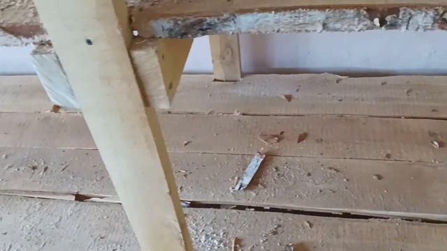 Стеллажи для, выгонки лука на перо. смотреть онлайн