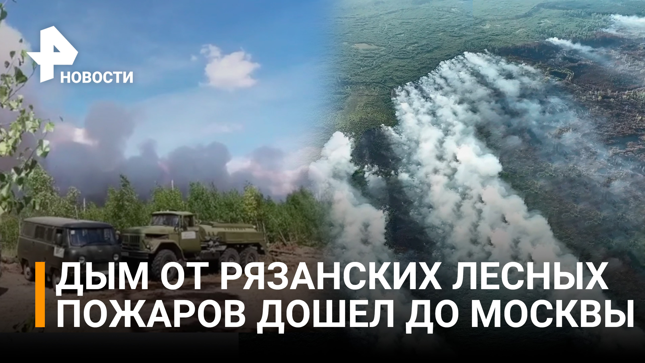 Лесной пожар под Рязанью: в огне 500 гектаров. Дым дошел до Москвы / РЕН Новости