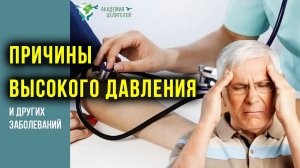 Причины высокого давления и других заболеваний. Руденко В.В. Академия Целителей.mp4