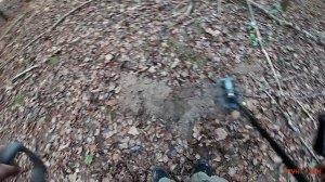 Поиск с металлоискателем Nokta Impact. Старинный лес.