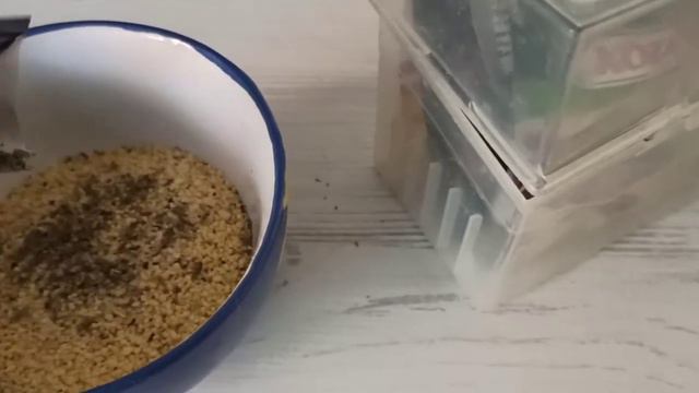 На компот на собирала. Шашлык всегда хочется. Не делай мне ШОК контент! смотреть онлайн