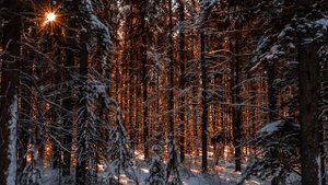 Седьмой дом в Козероге. Образ врага - бессердечный сухарь