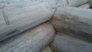 Сруб бани из осины, диаметр бревна 360-400мм