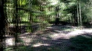 Разведка по ягодам, грибам 20 июня 2023 года. Всё связанное с природой, рыбалкой, тихой охотой!