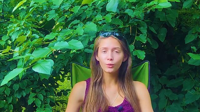 Кормление котят. Когда начинать подкармливать?