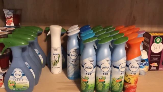 STOCKPILE TOUR / Quarantine readiness / Time for lockdown смотреть онлайн