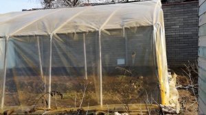 Теплица-Вегетарий из пластиковых канализационных труб (часть2)