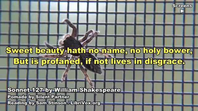 Shakespeare, Sonnet 127, Poem Video смотреть онлайн