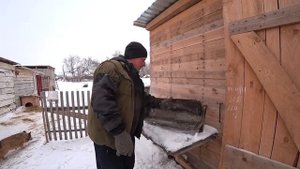 С этой кормушкой свиньи больше не выкидывают корма.