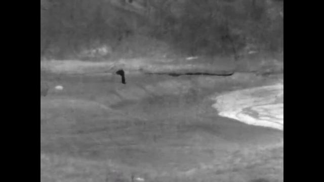 Саяны 1971 год смотреть онлайн