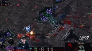 StarCraft 2 - RUFF'S BRUTAL CHEESE COMPILATION | Diamond in the Ruff #35 - StarCraft 2