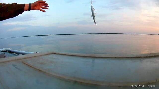 Кама Красный Бор вечерняя зорька смотреть онлайн