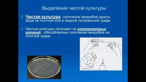 Микробиология за 7 минут