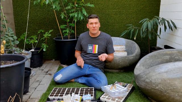 What seeds to plant? Autumn seed sowing of winter crops смотреть онлайн