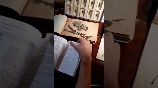 Книга Леонида Кораблева «Англосаксонская магия. Исландский травник» смотреть онлайн