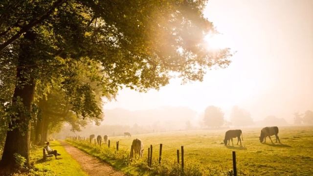 А.В.Клюев - Страдание это Сигнал для Изменения Сознание / Шри Ауробиндо Мысли и афоризмы смотреть онлайн