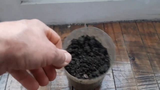 Грузия Ткибули зонтик для рыбалки 26.04.2021г. смотреть онлайн